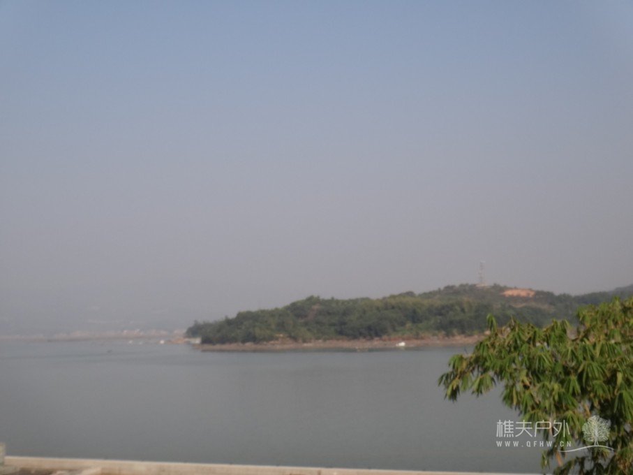 DSC04770.jpg