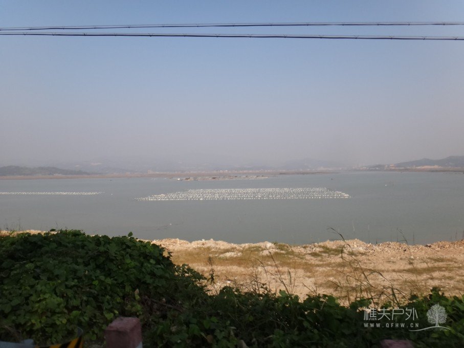 DSC04775.jpg