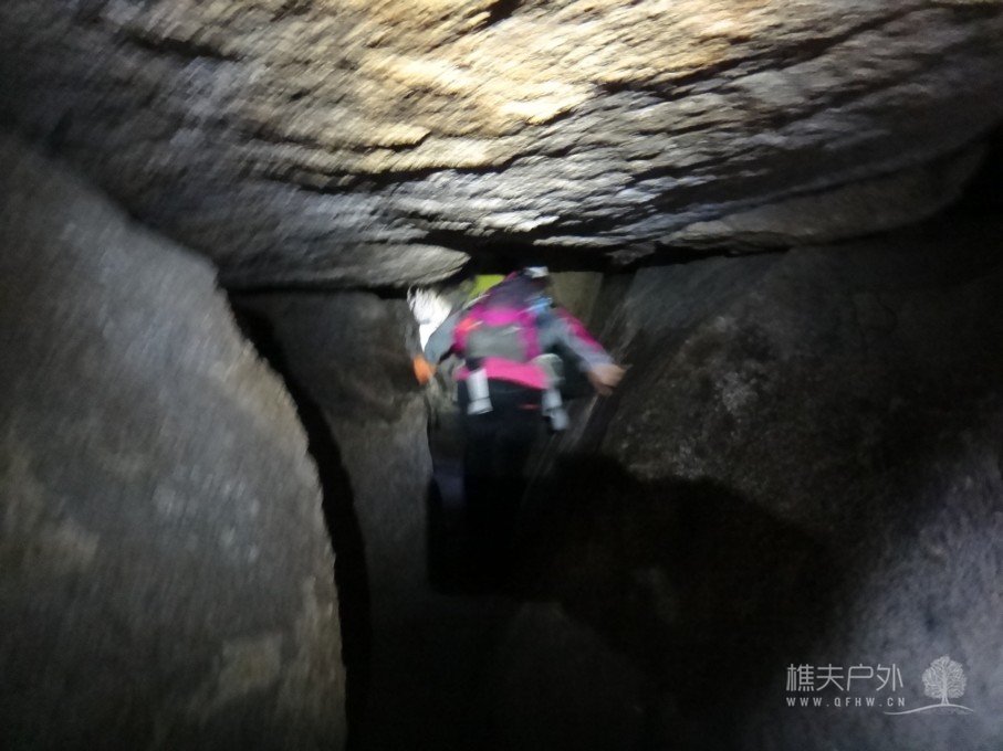 DSC05000.jpg