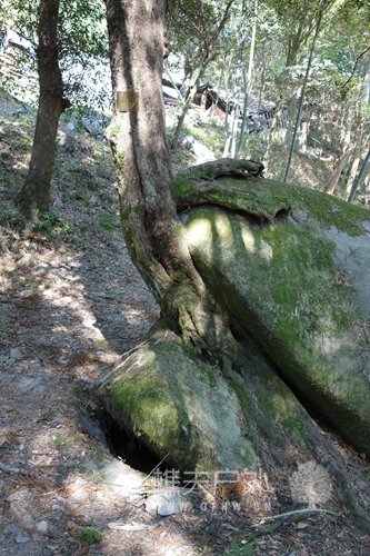 DSC07015.JPG