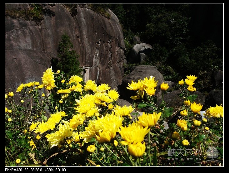 DSCF4938.jpg