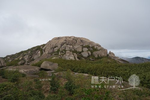 DSC07247.JPG