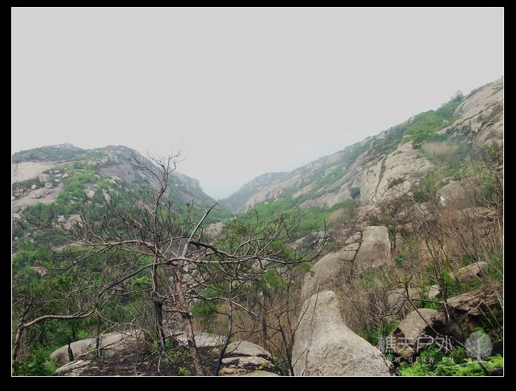 DSCF5155.jpg