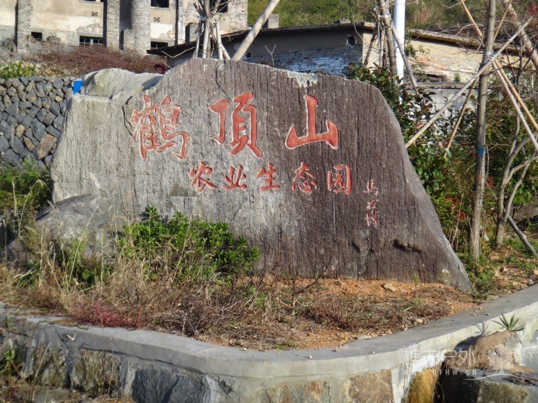DSC06458.jpg