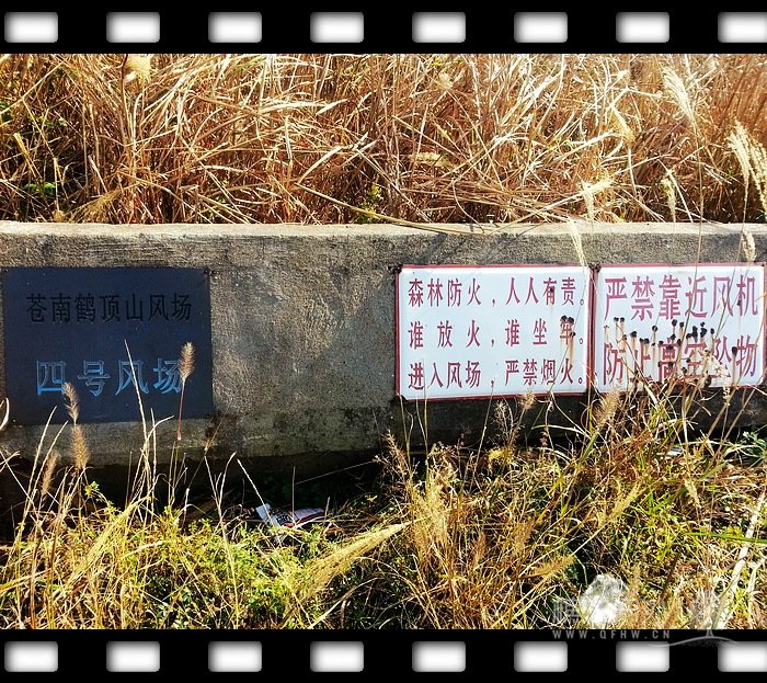 20131117_133141.jpg