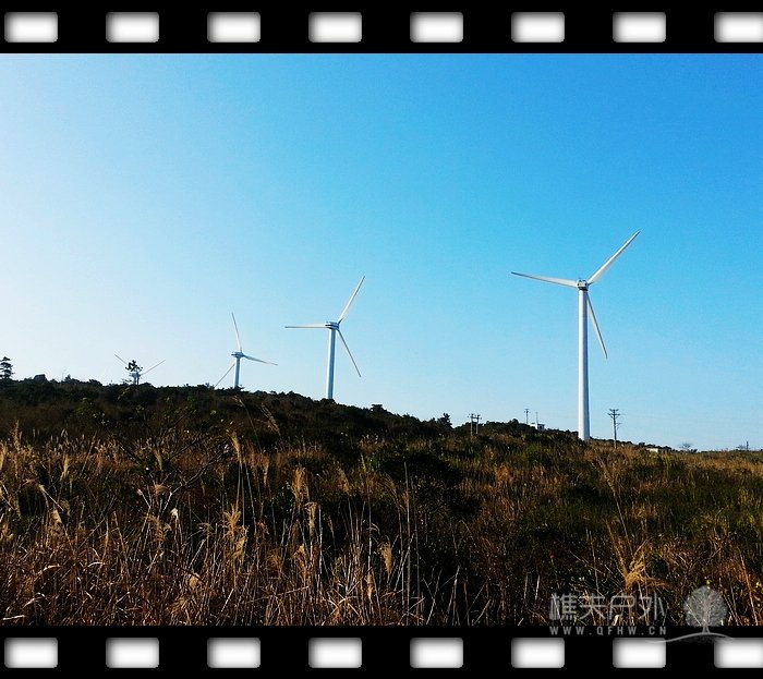 20131117_152031.jpg