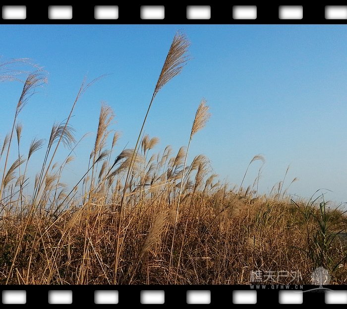 20131117_152910.jpg