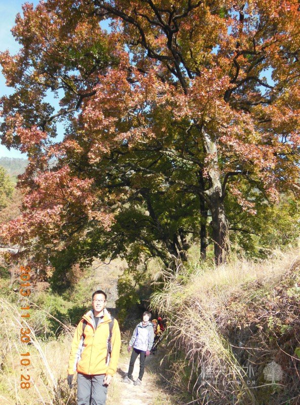 DSCN1937.jpg