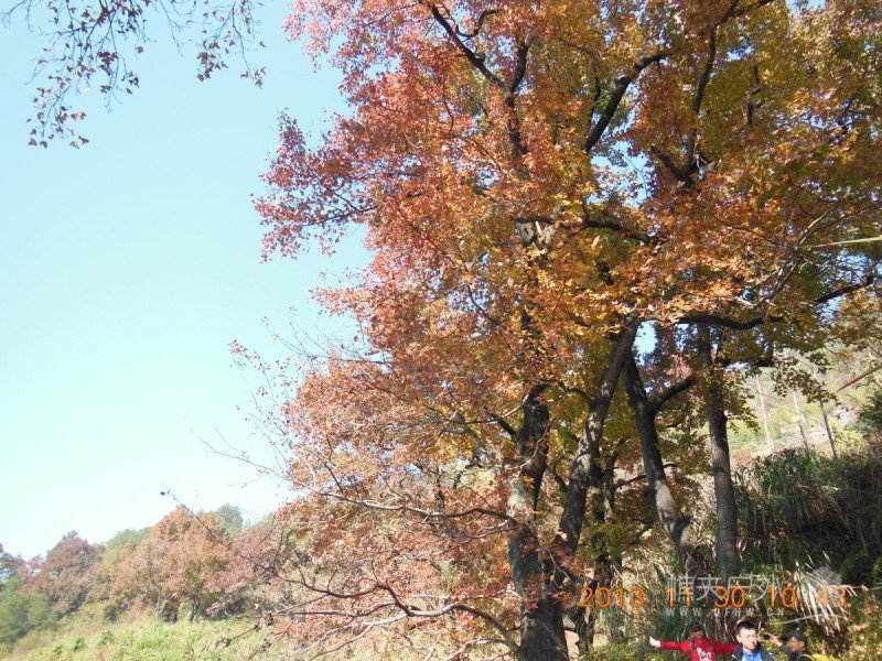 DSCN1953.jpg