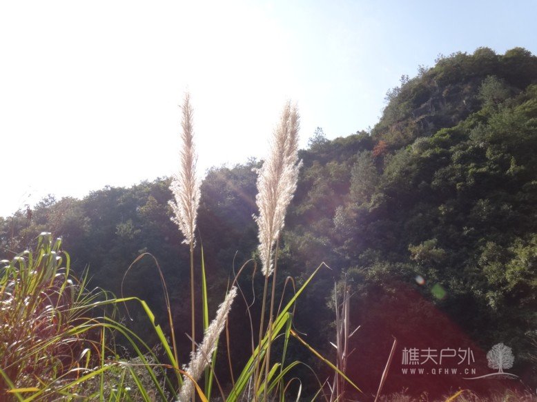 DSC07386.jpg
