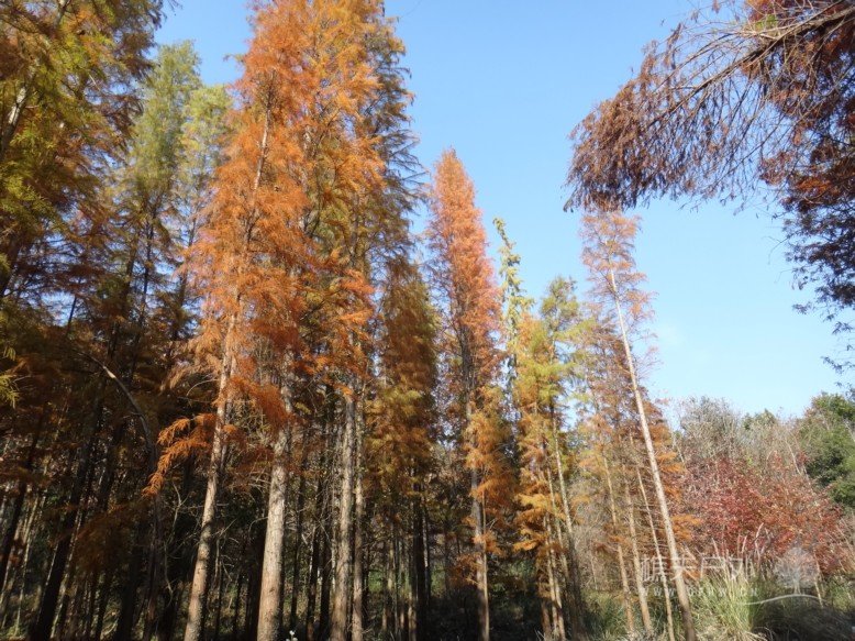 DSC07448.jpg
