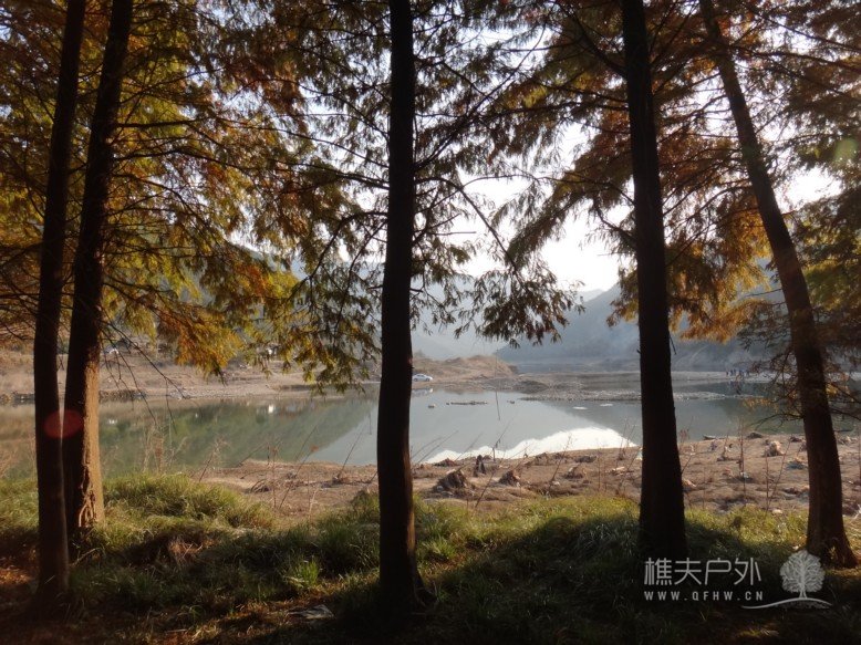 DSC07508.jpg
