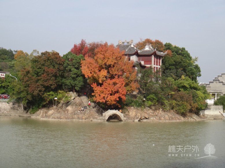 DSC06779.jpg