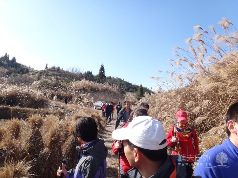DSC07228.jpg