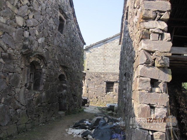 红杉树 008.jpg