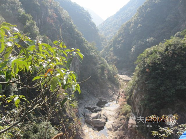 红杉树 024.jpg