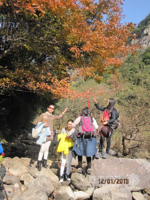 红杉树 056.jpg