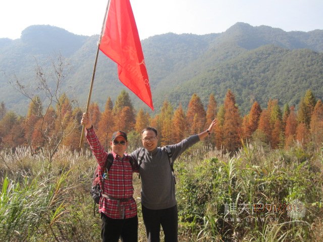 红杉树 075.jpg