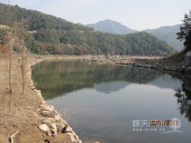 红杉树 108.jpg