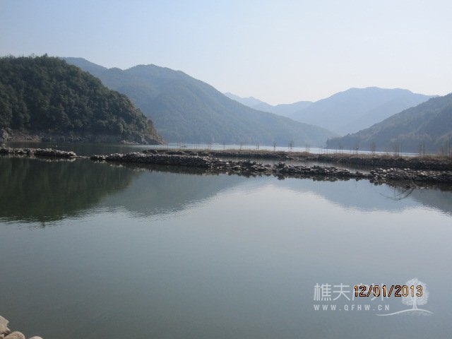 红杉树 112.jpg