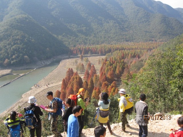 红杉树 129.jpg
