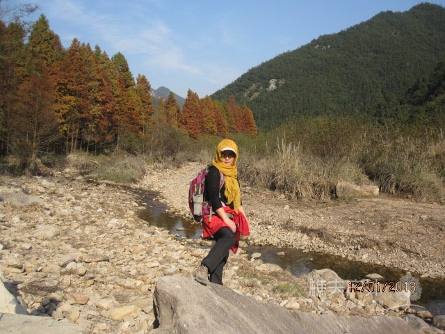 红杉树 141.jpg