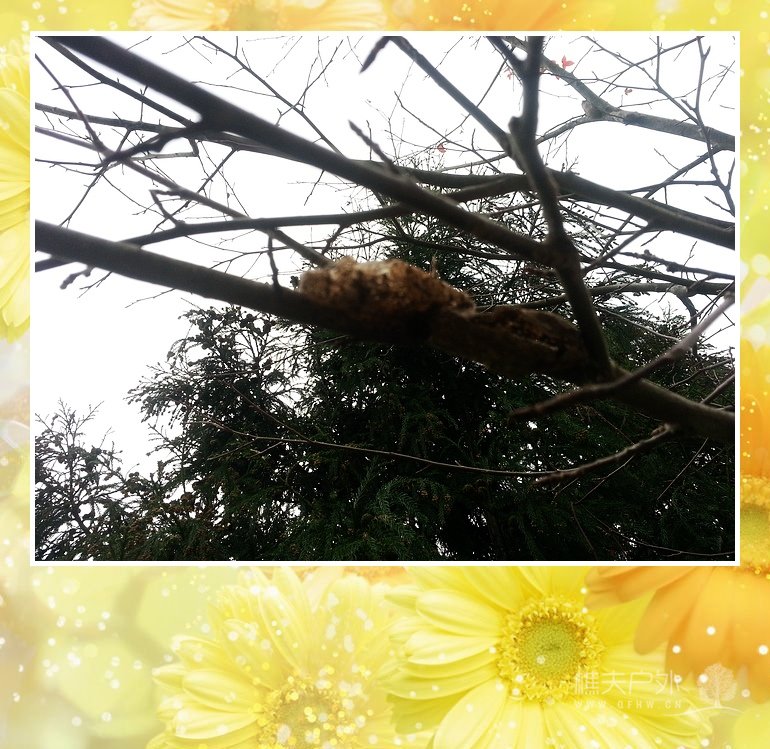 20131207_160159.jpg