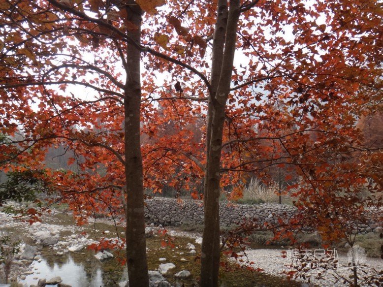 DSC07590.jpg