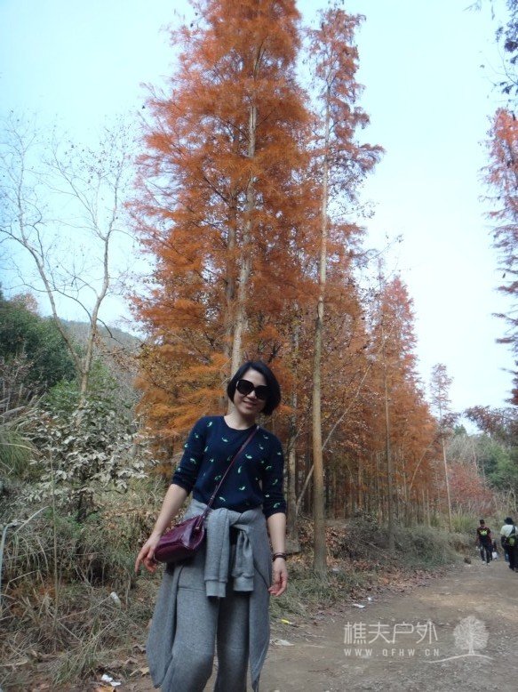 DSC07634.jpg