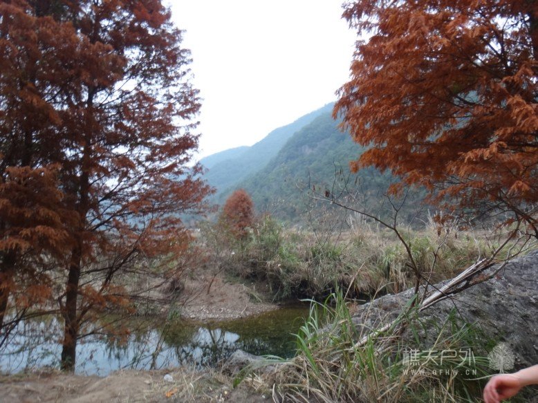 DSC07666.jpg