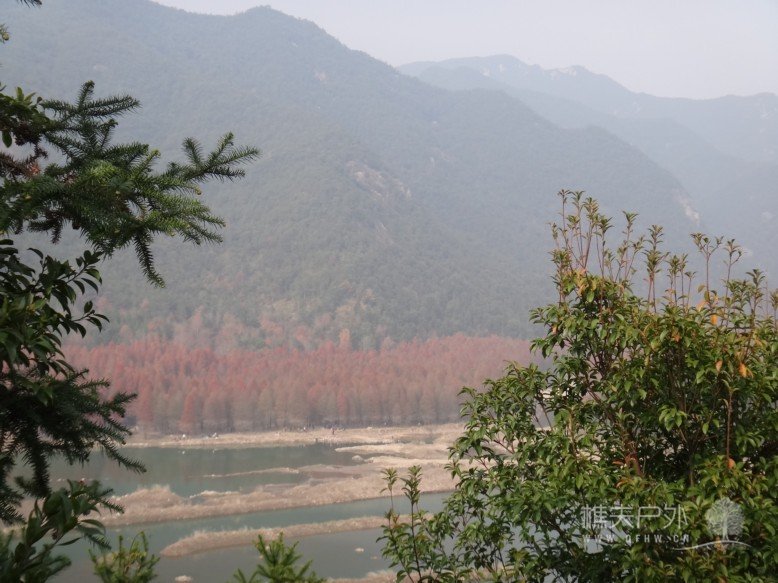 DSC07626.jpg