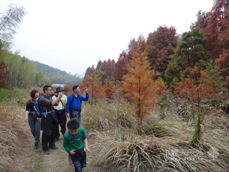 DSC07684.jpg