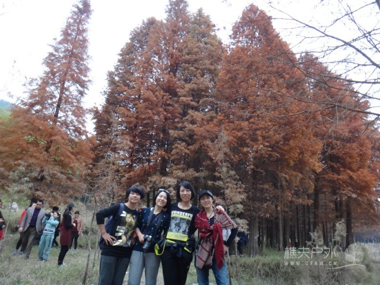 DSC07694.jpg