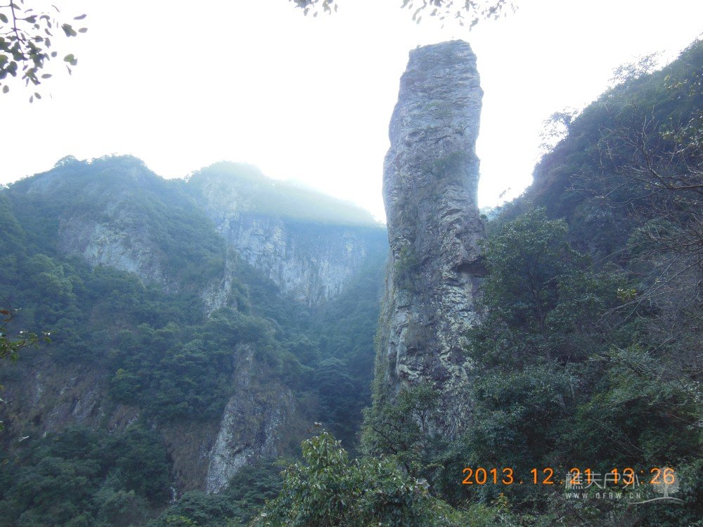 DSCN2905.jpg