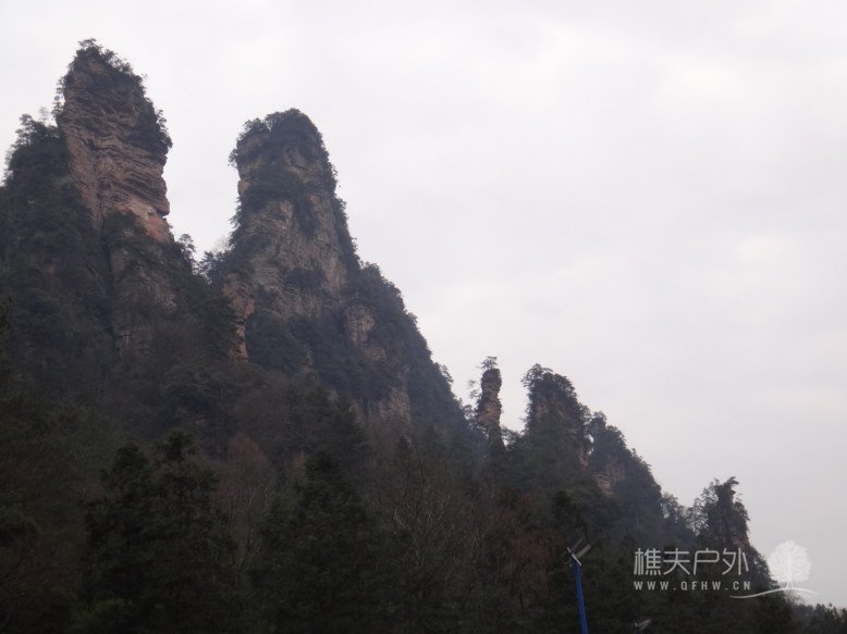 DSC08088.jpg