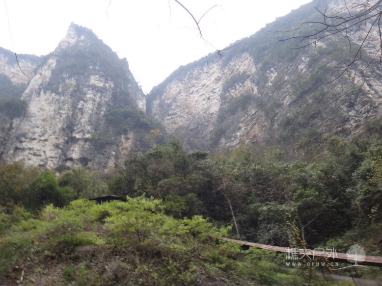 DSC08133.jpg