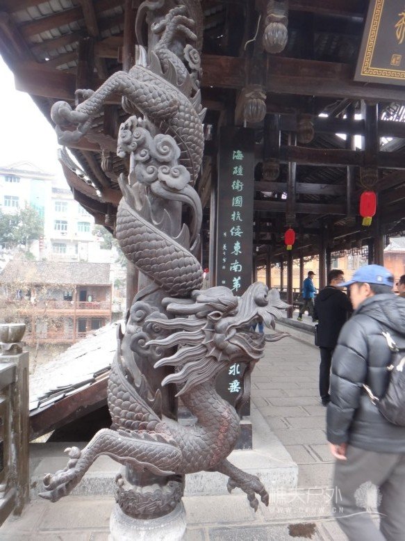 DSC08240.jpg