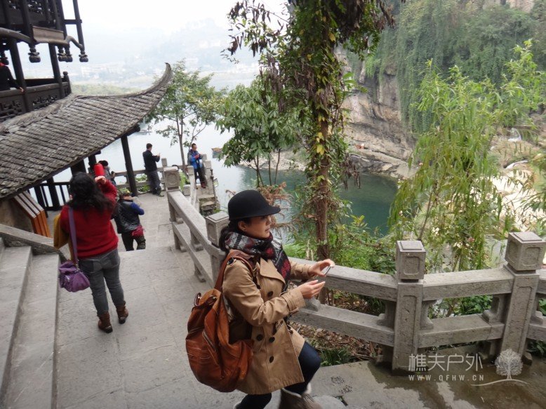DSC08270.jpg