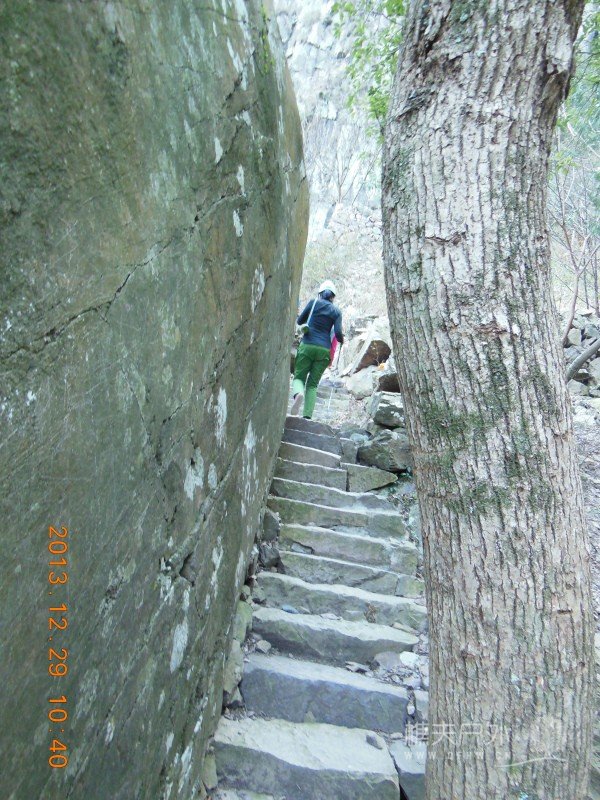 DSCN3077.jpg