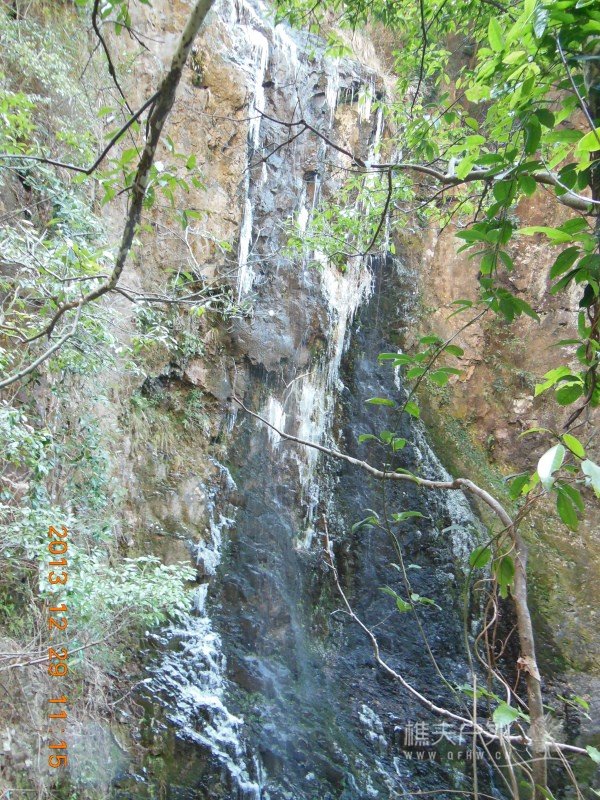 DSCN3139.jpg
