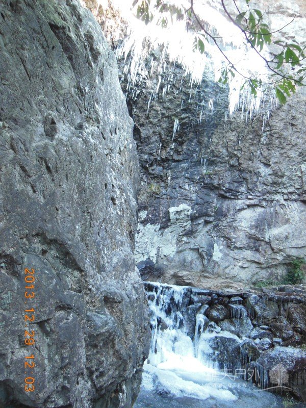 DSCN3151.jpg