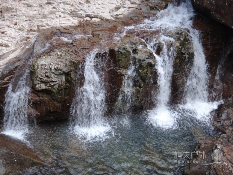 DSC08545.jpg
