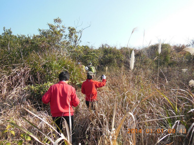 DSCN3249.jpg