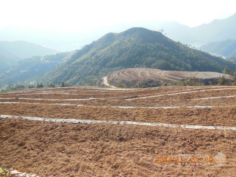 DSCN3259.jpg