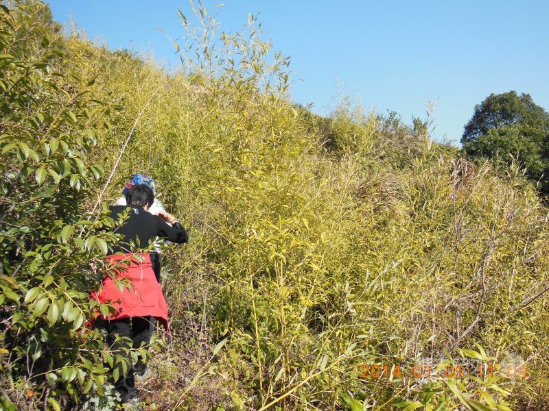 DSCN3273.jpg