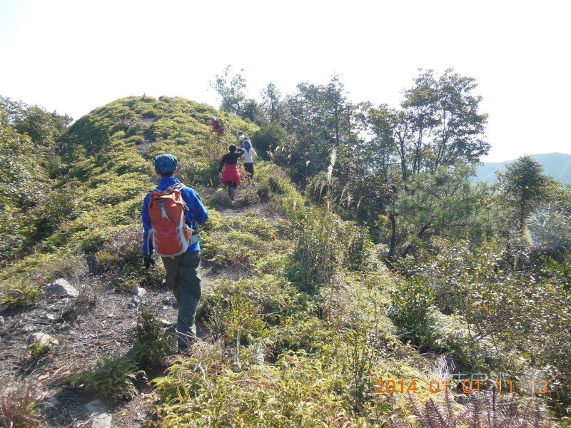 DSCN3277.jpg