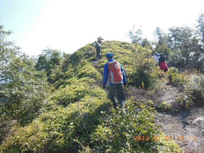 DSCN3278.jpg