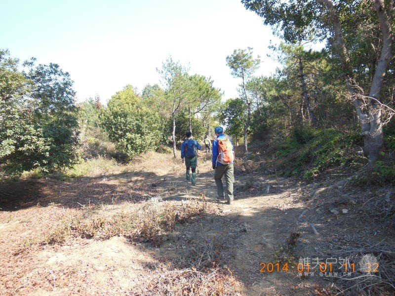 DSCN3287.jpg