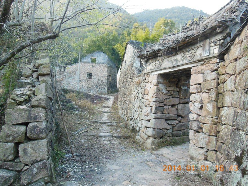 DSCN3368.jpg