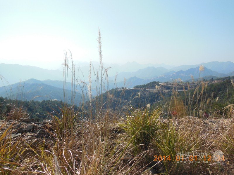 DSCN3294.jpg